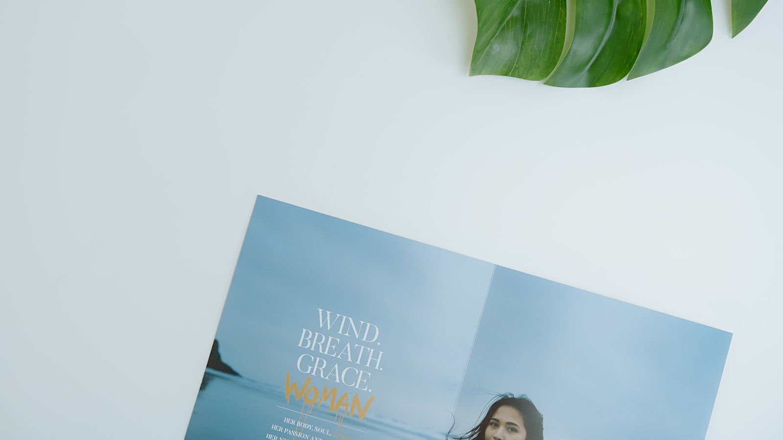 Sustainability Brochure Design: A Practical Guide
