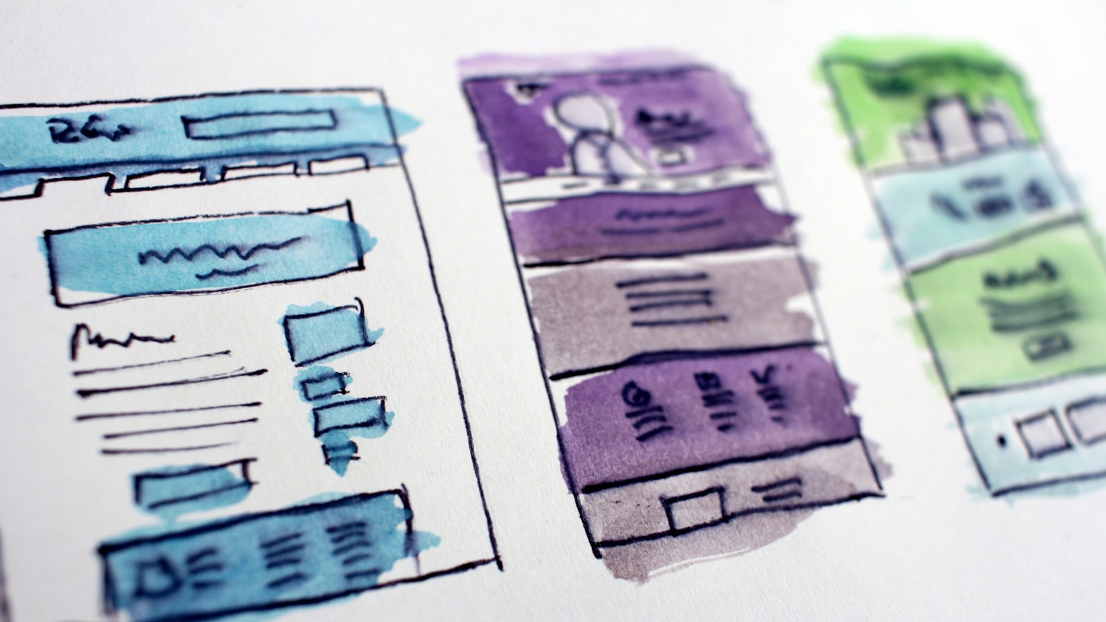 Web Design & Branding